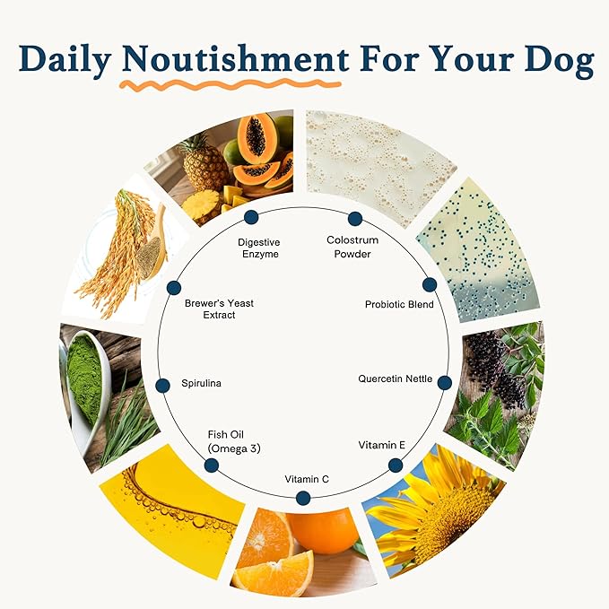 Dog Allergy Chews, Dog Probiotics for Itchy Skin Dog Allergy Relief Bites Skin and Coat Supplement Immune Support with Omega 3 Fish Oil Colostrum for Dog Seasonal Allergies Itchy Skin and Ear 120ct
