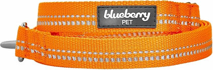 Blueberry Pet 3M Reflective Pastel Color Dog Leash with Soft & Comfortable Handle, 5 ft x 5/8", Orange Peel, Small, Leashes for Dogs