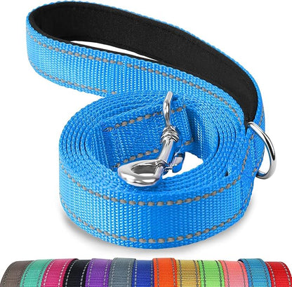 Joytale Dog Leash, 4 FT Double-Sided Reflective, Padded Handle Nylon Heavy Duty Leashes for Small Dogs Walking, SkyBlue