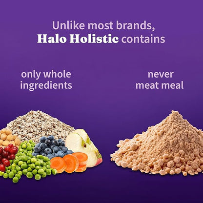 Halo Holistic Plant-Based Recipe With Superfoods, Complete Digestive Health, Vegan Dry Dog Food Bag, Adult Formula, 10-lb Bag