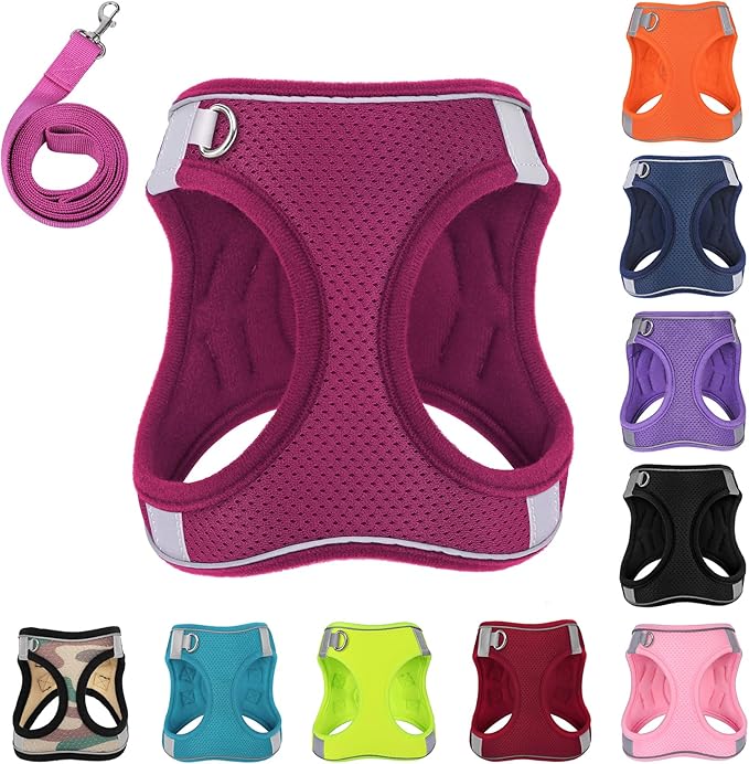 Dog Harness with Leash Set, No-Pull Step-in Reflective Pet Harness with 1 Leash Clips, Adjustable Soft Padded Easy Walk Dog Vest for Small Medium Large Dogs, Cats(Rose Red, XXSmall)
