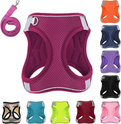 Dog Harness with Leash Set, No-Pull Step-in Reflective Pet Harness with 1 Leash Clips, Adjustable Soft Padded Easy Walk Dog Vest for Small Medium Large Dogs, Cats(Rose Red, XXSmall)