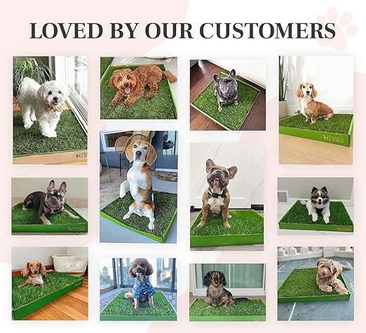 DoggieLawn Real Grass Puppy Pee Pads- 24 x 9 Inches - Perfect Indoor Litter Box for Dogs - No Mess, Easy-to-Use - Potty Training for Pets - Eco-Friendly Disposable Bathroom with Real Living Grass