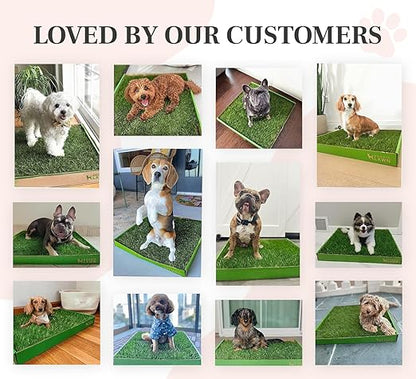 DoggieLawn Real Grass Puppy Pee Pads- 24 x 9 Inches - Perfect Indoor Litter Box for Dogs - No Mess, Easy-to-Use - Potty Training for Pets - Eco-Friendly Disposable Bathroom with Real Living Grass