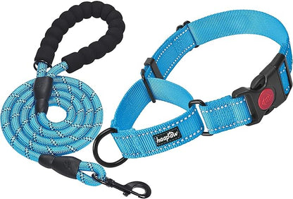 haapaw Martingale Dog Collar with Quick Release Buckle Reflective Dog Training Collars for Small Medium Large Dogs