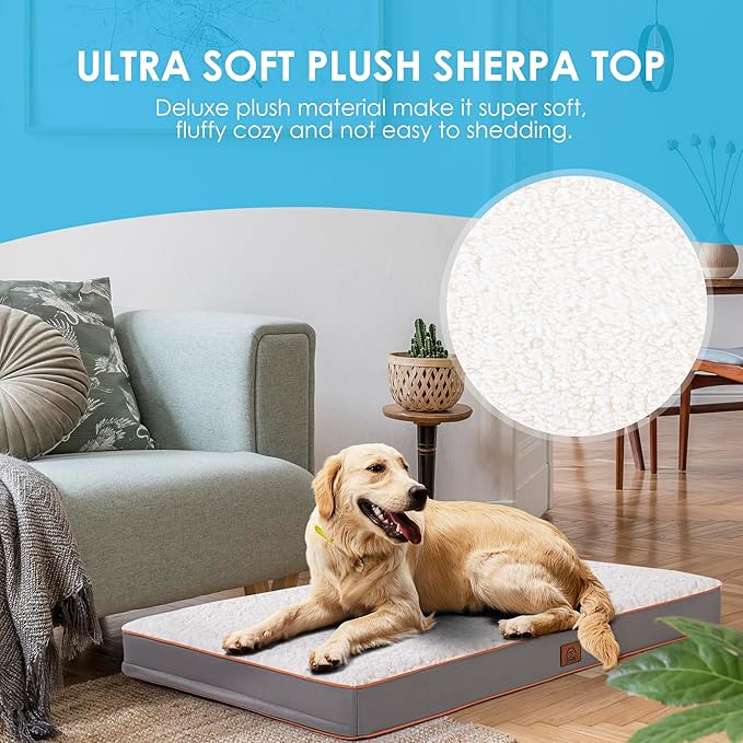Orthopedic Dog Bed for Large Dogs and Extra Large Dogs, XL Dog Bed with Removable Waterproof Cover and Machine Washable Pet Mat, Egg-Crate Foam, L-Plus(36"X27"X3"), Light Grey