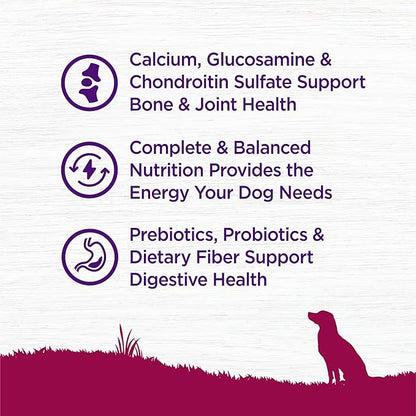 Wellness Complete Health Age Advantage Small Breed Senior Dry Dog Food, Wholesome Grain Kibble, Natural, Turkey and Peas Recipe, 4 lb Bag