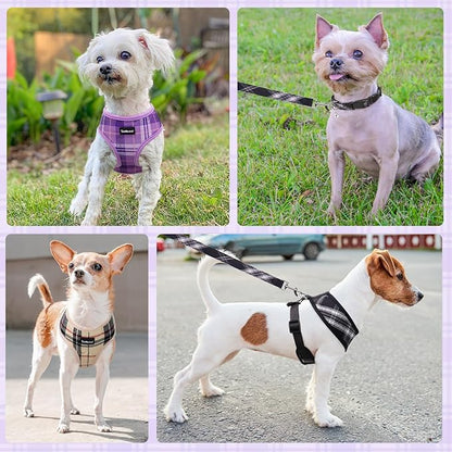 SCENEREAL No Pull Dog Harness Collar and Leash Set Small Medium Sized Dog, Soft Mesh Puppy Harnesses, No Chock Plaid Adjustable Pet Vest for Outdoor Walking Training and Running, Black S