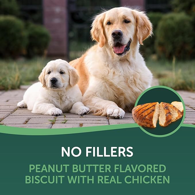 HEALTHFULS Chicken & Peanut Butter Flavored Dog Biscuits,16oz,(Pack of 2)