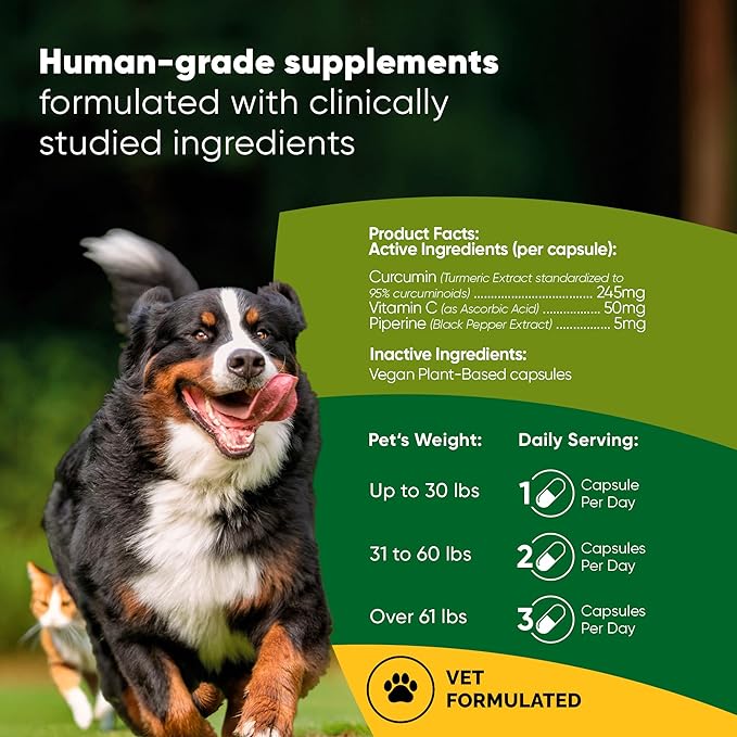 Rooted Owl Turmeric - Turmeric Supplement for Dogs and Cats - with Curcumin, Piperine and Vitamin C for Anti-Inflammatory Relief - 60/ct
