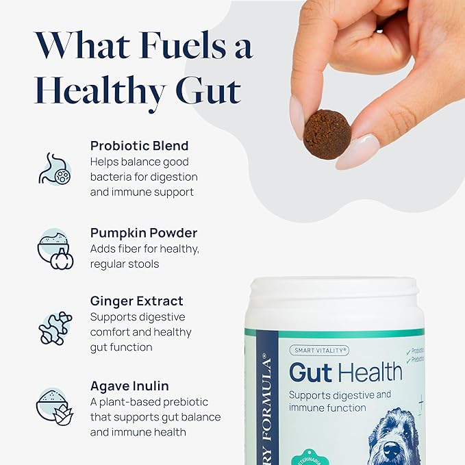 Veterinary Formula Gut Health Supplement for Dogs – Vet-Formulated Probiotic Chews with Digestive Enzymes & Fiber – Smart Vitality Support Digestive Health, Gut Balance & Stool Quality, 120 Soft Chews