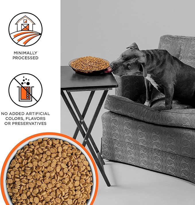 BIXBI Liberty Grain-Free Dry Dog Food, Chicken Recipe – Fresh Meat, High Protein, No Meat Meals – USA Made, 22 lbs