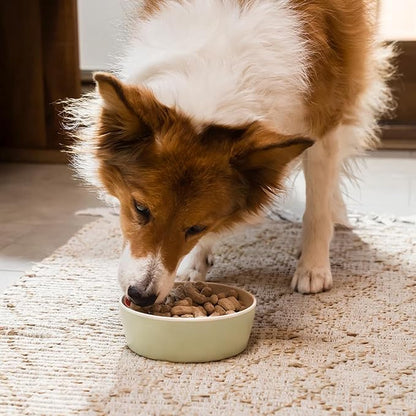 Open Farm, Freeze Dried Raw Dog Food, Morsels with 95% Meat, Organs & Bone, Organic Produce & Superfoods, Complete Meal or Freeze Dried Dog Food Topper, Surf & Turf Recipe, 22oz Bag