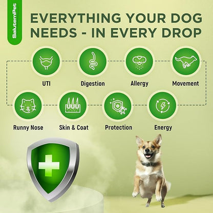 Dog Antibiotics for Infections, Cough, & Itching | Natural Antibiotics for Dogs for All Ages to Promote Wound Healing | Dog UTI Treatment and Tooth Infection Treatment | Chicken Flavor | 2 Oz