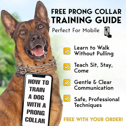 PetJett ProTrainer Prong Collar for Dogs - Choke Collar for Dogs, Pinch Collar for Dog Adjustable No Pull Training Collar for Small Medium Large Dog - Safety Durable Stainless Steel Metal Choker Chain