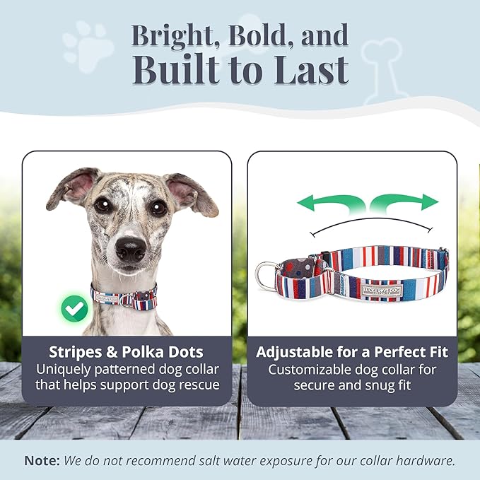 Lucky Love Dog Martingale Dog Collar & Leash - Adjustable, No-Slip, Durable, Comfortable, Soft Webbing, & Stylish Patterned Dog Collar & Leash Set for Male and Female Dogs - Linus Combo, Medium