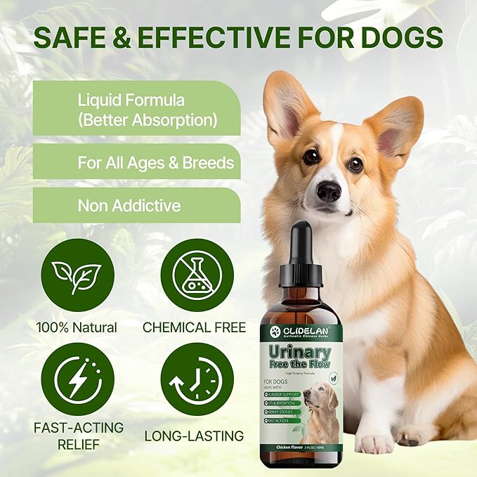 Bladder & Kidney Stones Dissolver for Dogs – Helps with Stone and Crystals Fragment Flush & Prevention – Natural Dog UTI Treatment, Herbal Vet-Formulated, Dog Urinary Tract Infection Treatment