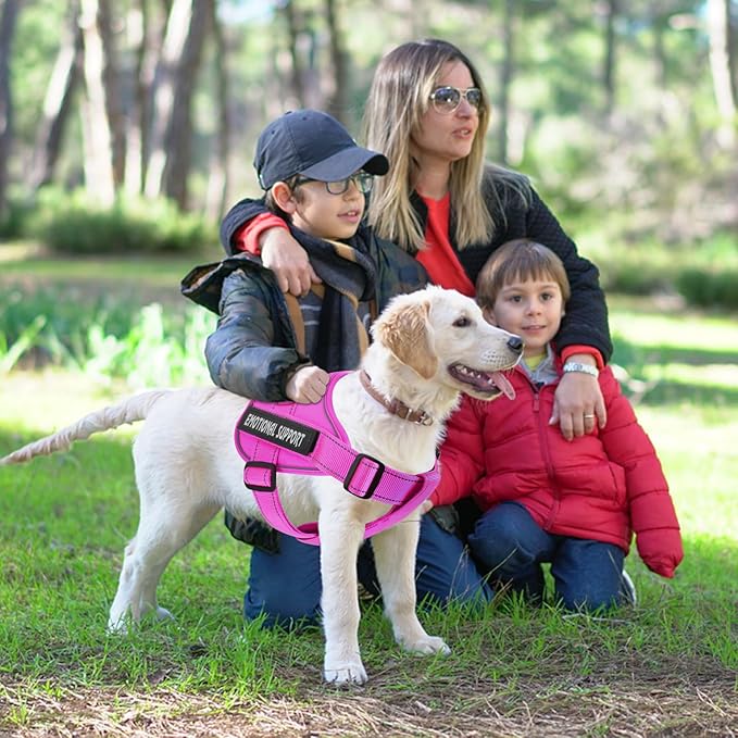 voopet Service Dog Harness, Emotional Support Pet Vest Harness, Reflective Breathable and Adjustable No-Pull ESA Dog Harness for Small Medium Large Dogs (with 4 PCS Removeable Tags)