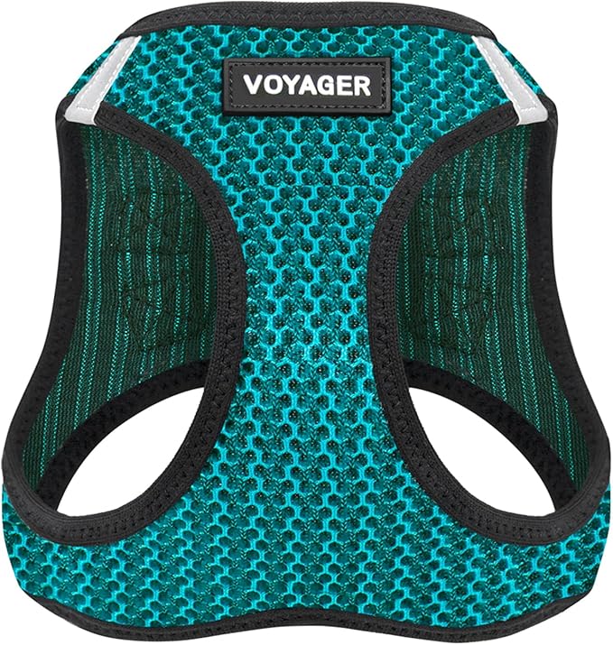 Best Pet Supplies - All Weather Mesh/Plush, Reflective, No Pull Harness for Small, Medium Dogs, Cats - Secure with Hook & Loop Fastener, Buckle, Double D-Rings - Turquoise 2-Tone, L
