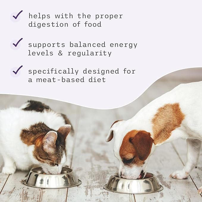 Dr. Mercola Bark & Whiskers Digestive Enzymes – Veterinarian Formulated – for Dogs & Cats – Non-GMO – 150 Scoops – Meat-Based Diet