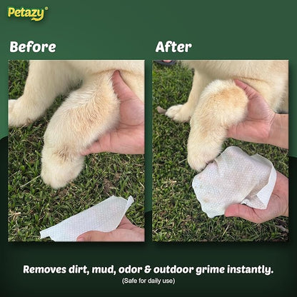 Petazy Dog Wipes for Paws and Butt – 100 Count (8x8in) Hypoallergenic, Deodorizing Pet Wipes for Dogs and Cats | Extra Large, Plant-Based, Chamomile Scented | Travel Size, Single On-the-Go Pack
