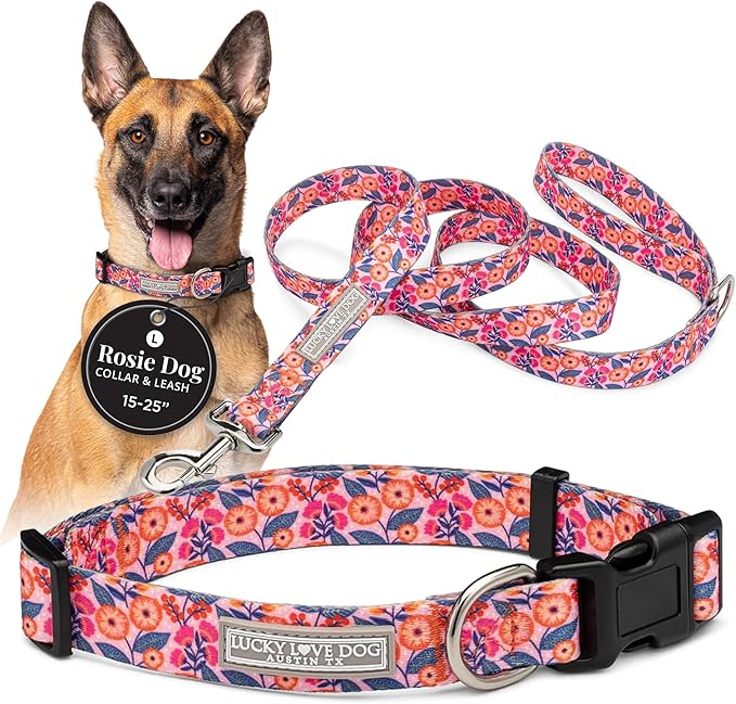 Lucky Love Dog - Easy Click Buckle Dog Collar with Leash Set Combo, Durable & Comfortable for Male & Female Dogs, Pet Collar for Large Dogs, Secure Fit - Floral Rosie Combo, Large