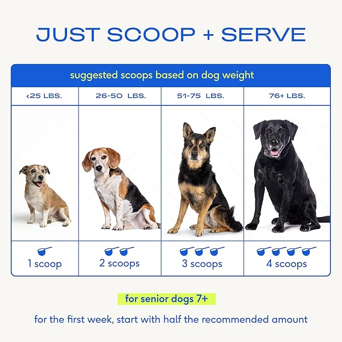 Native Pet Senior Daily Dog Vitamins & Supplements – 12-in-1 Dog Multivitamin Powder for Senior Dogs – Supports Mobility, Cognition, Digestion, Immune Health & More – 60 Scoops