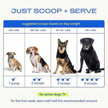 Native Pet Senior Daily Dog Vitamins & Supplements – 12-in-1 Dog Multivitamin Powder for Senior Dogs – Supports Mobility, Cognition, Digestion, Immune Health & More – 60 Scoops