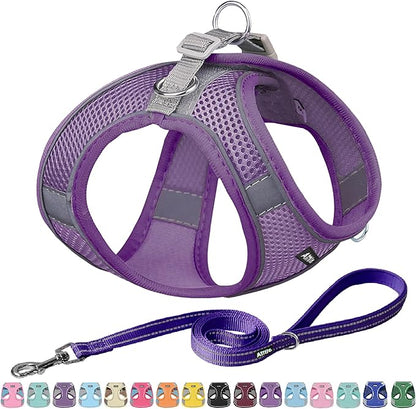 AIITLE Step in Dog Harness and Leash Set - No Pull Escape Proof Vest Harnesses with Soft Mesh and Reflective Bands, Adjustable Pet Outdoor Harnesses for Small and Medium Dogs Pure Purple M