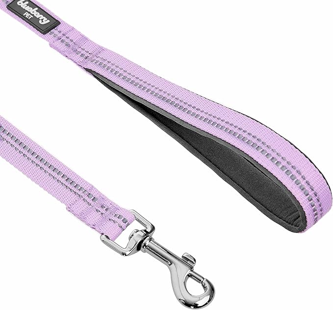 Blueberry Pet 3M Reflective Pastel Color Dog Leash with Soft & Comfortable Handle, 4 ft x 1", Lavender, Large, Leashes for Dogs