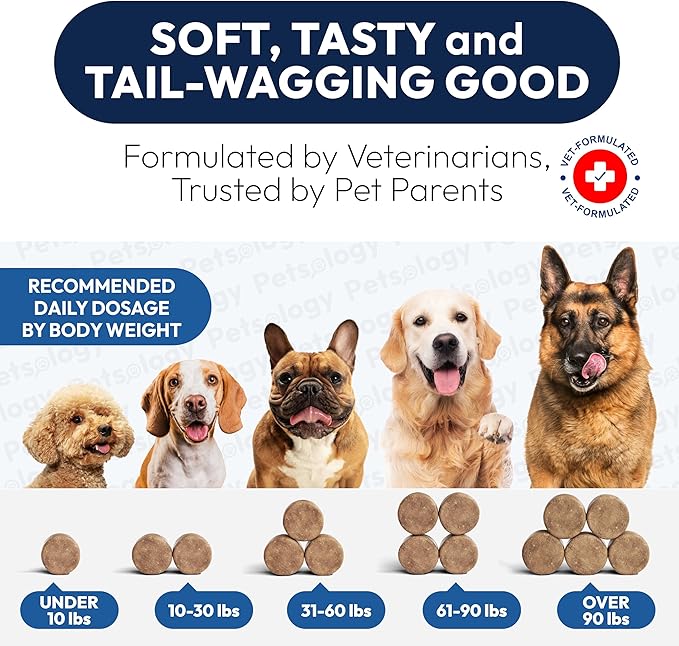 Probiotics for Dogs - 250 Dog Probiotics Chews - Digestive Enzymes & Prebiotics - Support Gut Health, Diarrhea, Gas & Constipation Relief - Itchy Skin, Allergies, Yeast Balance - Advanced Supplement
