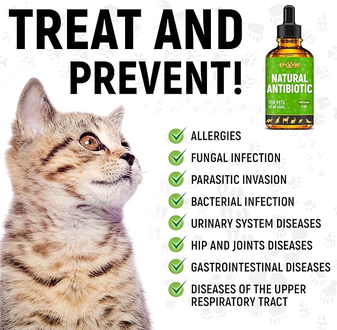 Dog Antibiotics for Infection, Coughs, UTIs, Allergies, Itching | Natural Antibiotics for Cats to Support Skin, Coat, & Digestion | for All Breeds & Ages | 2 oz