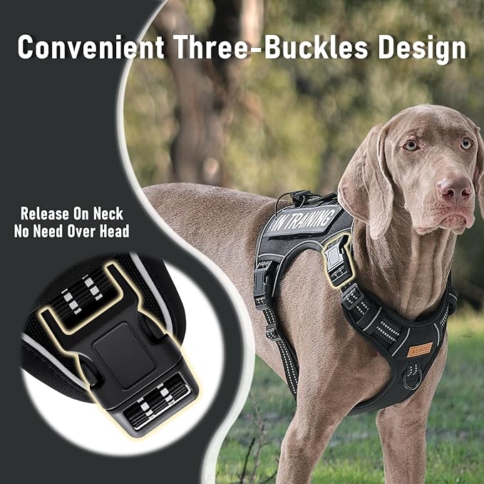 AUNZO Tactical Dog Harness for Large Dogs, for Golden Retriever, Labrador, German Shepherd etc, No Pull Reflective No Choke Adjustable and Padded Pet Vest Harness, Black, L