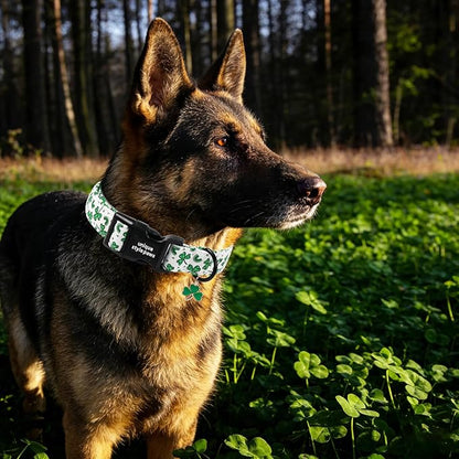 Unique style paws Dog Collar Plastic Buckle with Pendant Puppy Collar for Saint Patrick Polka Dot Clover for Small Medium Large Boys Girls Dogs