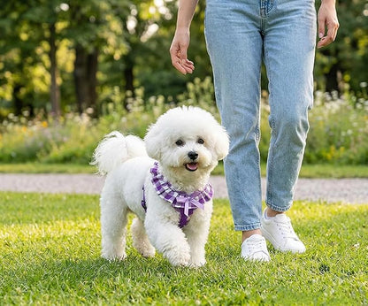 SuperBuddy Upgraded Soft Mesh Dog Harness, Super Breathable Lightweight Pet Harnesses for Puppy Dogs Outdoor Walking, Purple Dog Harness -Medium