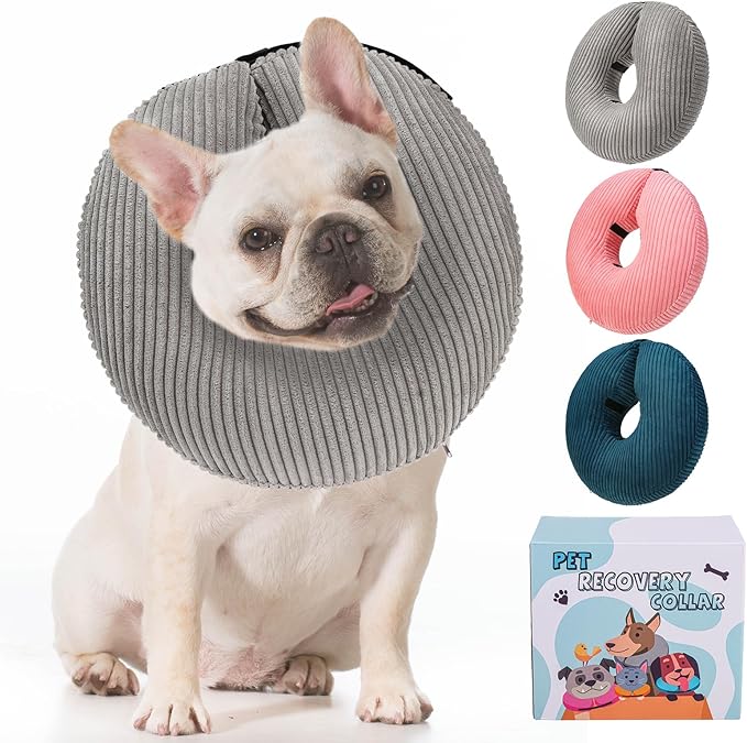 BINGPET Inflatable Dog Cone Collar Alternative After Surgery,Soft Recovery Cone for Dogs to Stop Licking,Dog Blow up Protective Neck Donut ECollars Adjustable for Large Medium Small Pet,Upgrade M Grey