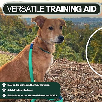 Clasp 1.5mm Stainless Steel Ultralite Dog Training Collar for Teacup Dogs | 7” Micro Prong Collar for Dogs Under 6lbs | No-Pull Collar | Dog/Puppy Training & Behavior Aid