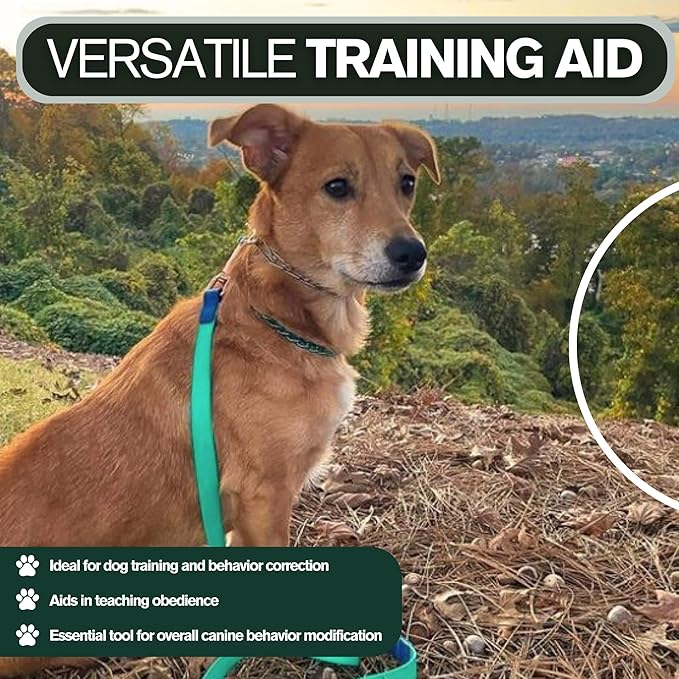 Clasp 2.25mm Stainless Dog Training Collar for Large Breeds | 16” Prong Collar for Dogs 26lbs & Up | No-Pull Collar | Behavior Aid | Seafoam Green