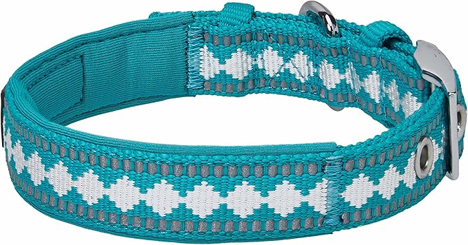 Blueberry Pet Reflective Jacquard Dog Collar with Neoprene Padding & Metal Buckle | Soft & Adjustable Safety Collar - Peacock, Neck 13-16.5", for Medium Breed