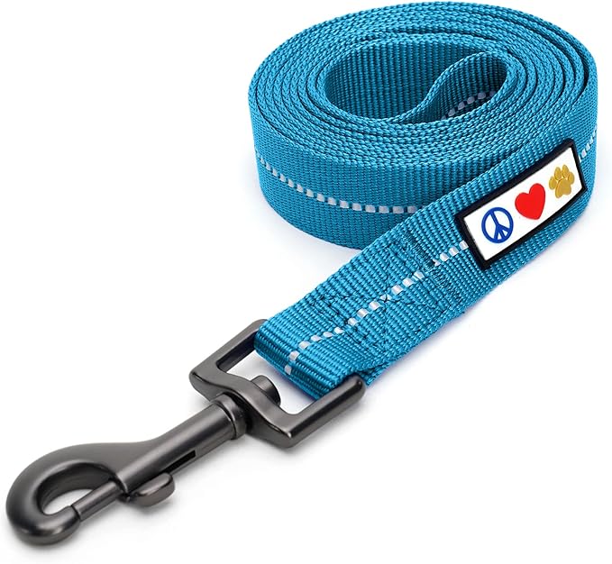 Pawtitas Teal Dog Leash 6 ft XS/S Reflective Durable Lightweight Recycled Lead for Small Dogs and Puppies
