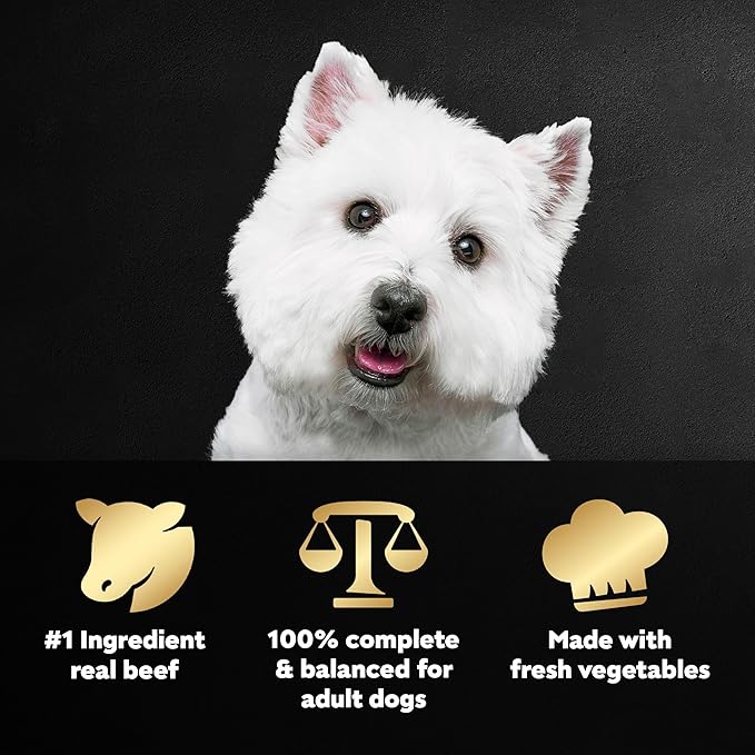 Cesar Wholesome Bowls Adult Wet Dog Food, Beef, Chicken, Purple Potatoes & Carrots, Wet Food for Dogs, 3 Oz. Bowls, 10 Count