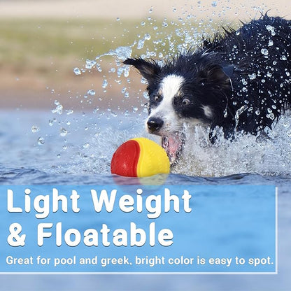 LECHONG 3.5in Squeaky Dog Balls Toys for Training, Dog Toys to Keep Them Busy, High Bouncy Balls for Interactive Playing, Great for Puppy Pet Teething and Chew 4Pcs