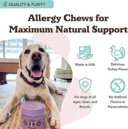 Natural Dog Company Allergy & Itch Defense Chews – Supports Seasonal Allergy, Itch, Skin, Coat & Immune Health, Gut Health with Probiotics, Colostrum & Salmon Oil, Grain-Free Dog Supplement, 90 ct