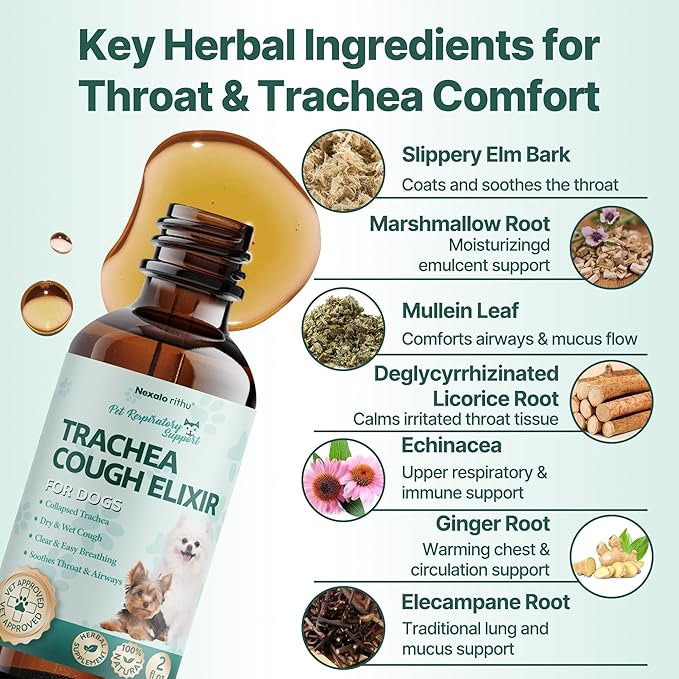 Collapsed Trachea Treatment for Dogs, Trachea Cough Elixir, Dog Cough Treatment –Natural Herbs Respiratory Support, Promotes Throat Comfort and Breathe Smoothly for Honking Cough, Gagging and Wheezing