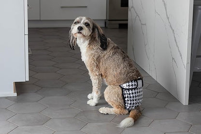Pet Parents® Washable Dog Diapers (3pack) + Extendrs® of Durable Doggie Diapers, Premium Dog Diapers Female (Medium, Luxe)