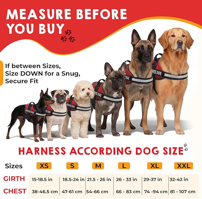 Service Dog Vest + ID Tag + 50 ADA Information Cards - Service Dog Harness in Sizes X Small to XX Large, Metal Dog Tag has Durable Clip, Service Animal Information Cards are 2-Sided. ESA Accessory Set