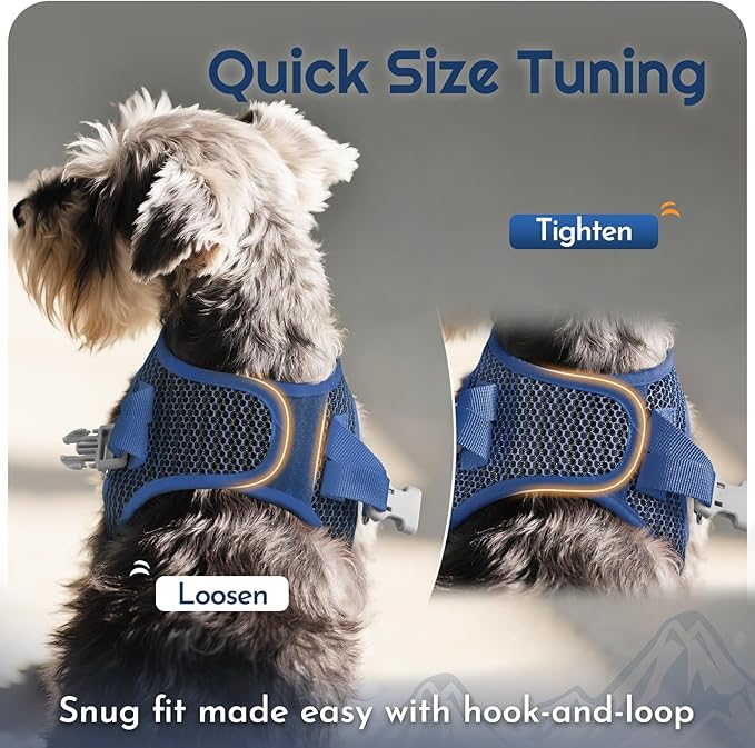 Eagloo Small Dog Harness and Leash Set, Step in Puppy Vest with Breathable Soft Mesh, Walking Reflective Pet Harness for Medium Small Dogs, Navy Blue, M