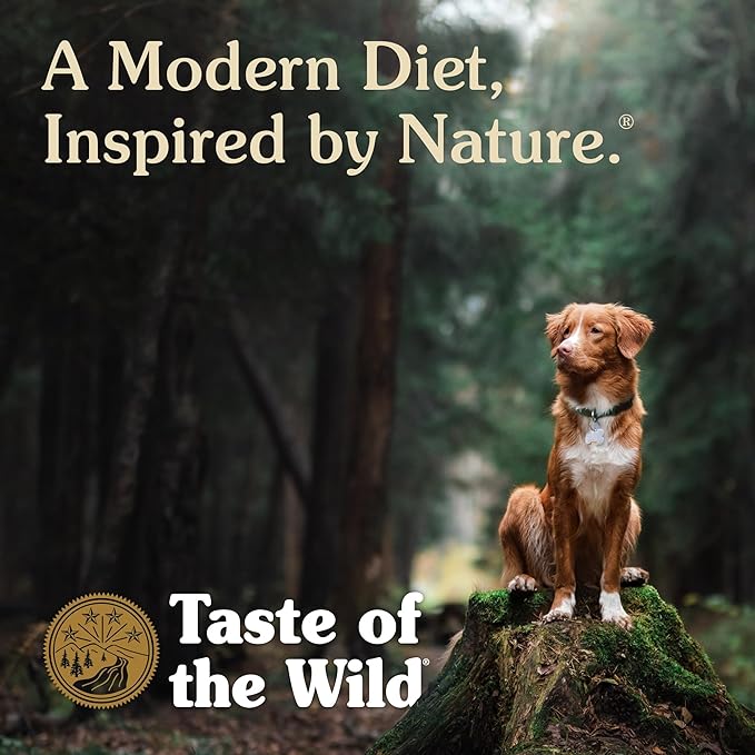 Taste of the Wild with Ancient Grains Ancient Mountain Canine Recipe with Roasted Lamb Dry Dog Food, Made with High Protein from Real Lamb and Guaranteed Nutrients and Probiotics 5lb