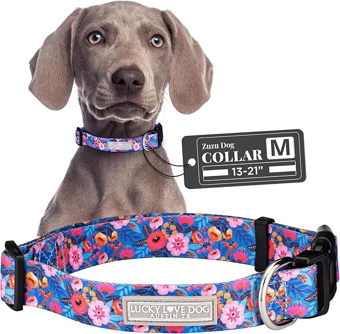Lucky Love Dog - Adjustable Dog Collar with Easy Click Buckle for Medium Dogs, Durable, & Comfortable Collar for Male & Female Dogs, Pet Collar for Puppies & Adult Dogs - Zuzu, Medium