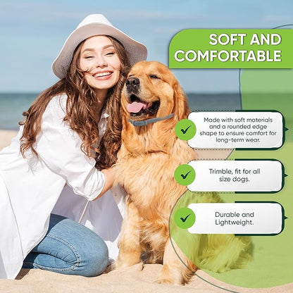 Flea and Tick Prevention Collar for Dogs, Adjustable Dog Flea and Tick Treatment for Puppy, Small, Medium, Large, and Extra Large Dogs, Best Natural Flea and Tick Collars (Gray Collar)